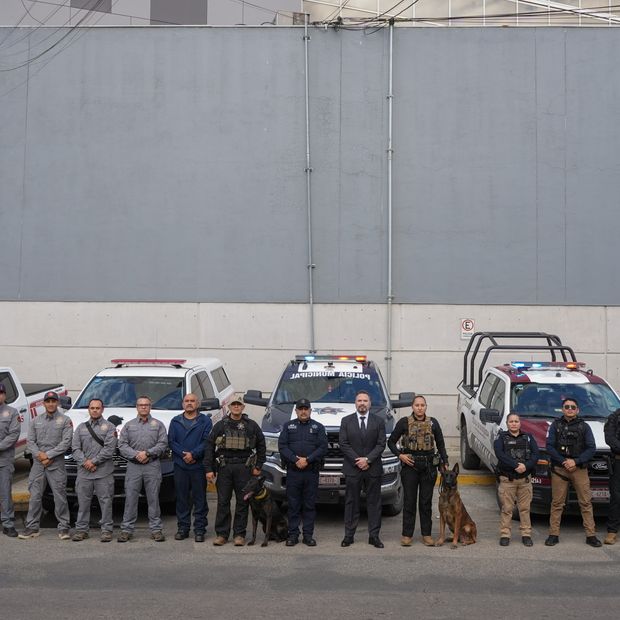 Tijuana Envía Personal para Búsqueda de Personas Desaparecidas en Ensenada tras Rachel